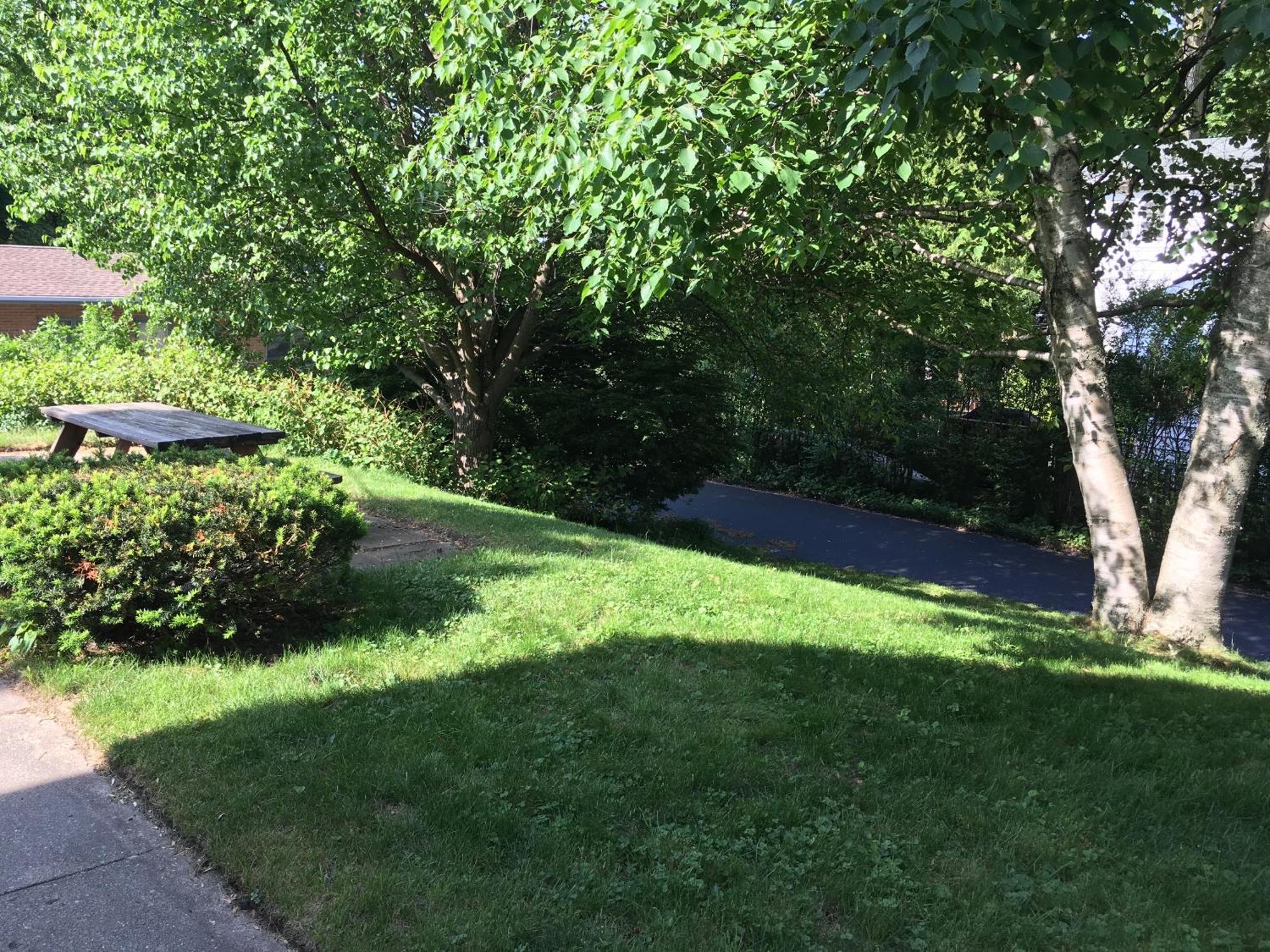 Ludington Blue Spruce Inn מראה חיצוני תמונה