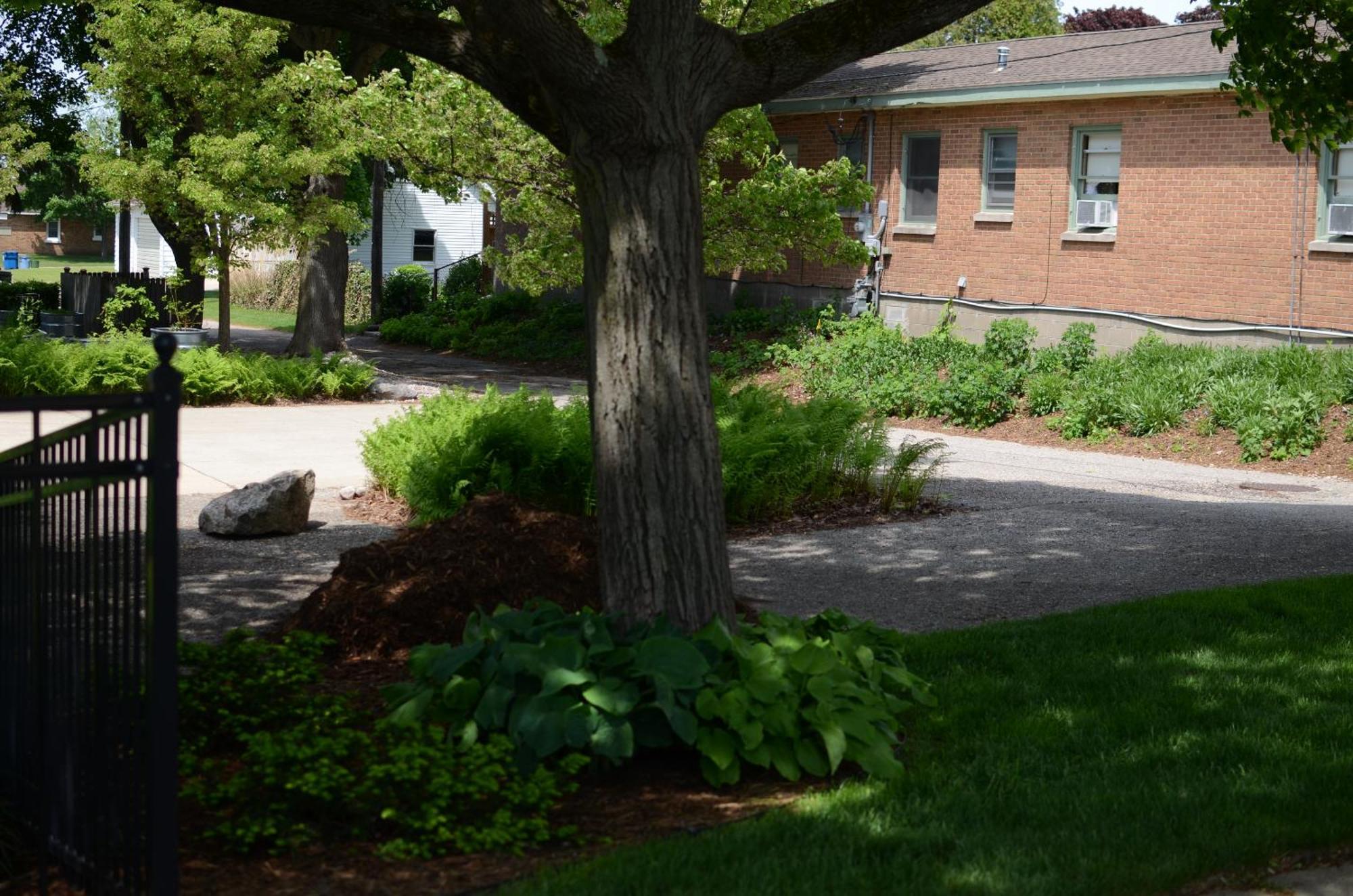 Ludington Blue Spruce Inn מראה חיצוני תמונה